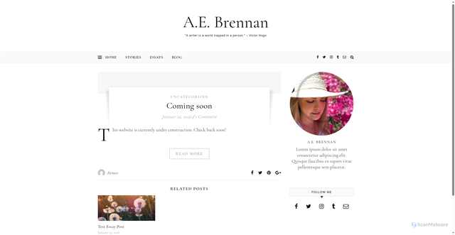 Security scan screenshot of https://aebrennan.com/category/uncategorized/