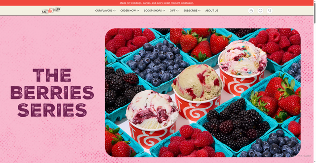 Security scan screenshot of https://saltandstraw.com