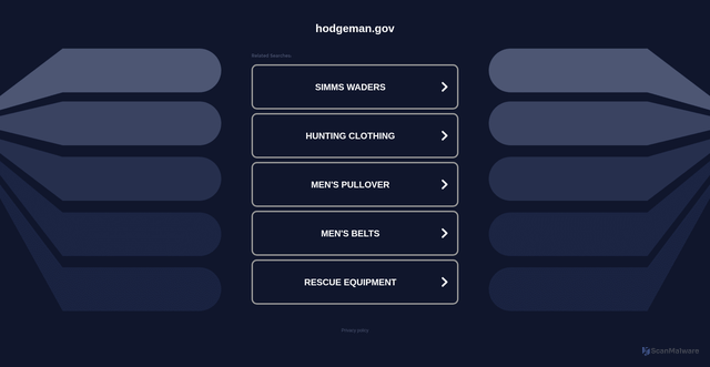 Security scan screenshot of https://hodgeman.gov/