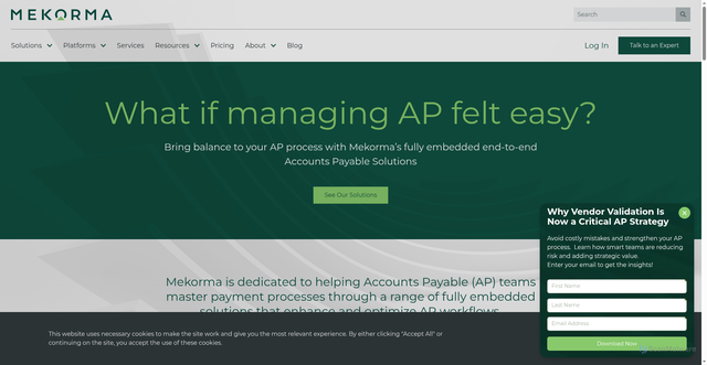 Security scan screenshot of https://mekorma.com