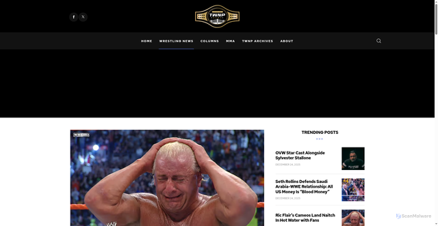 Security scan screenshot of https://www.twnpnews.com/2025/12/ric-flair-gets-bad-cameo-review/