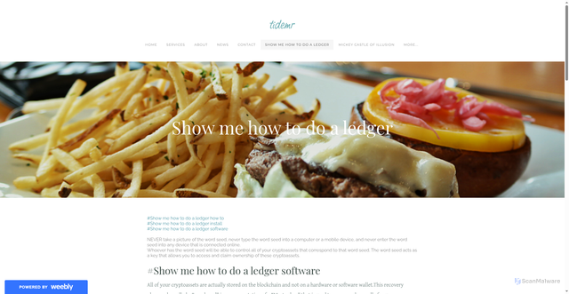 Security scan screenshot of https://tidemr.weebly.com/show-me-how-to-do-a-ledger.html