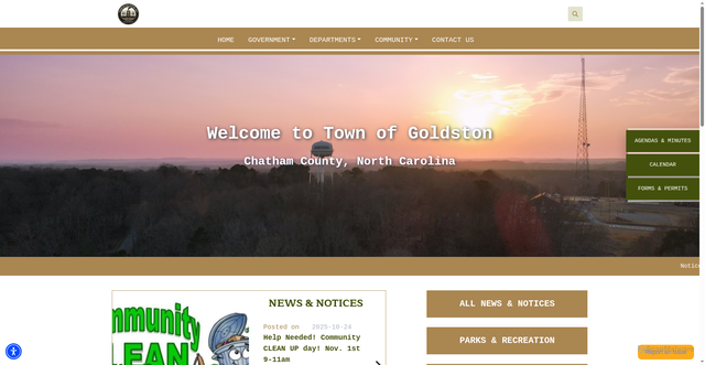 Security scan screenshot of https://townofgoldston.gov/