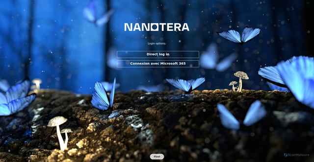 Security scan screenshot of https://pixel.nanotera.eu