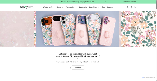 Security scan screenshot of https://www.loopycases.com