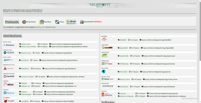 Security scan screenshot of https://mirror.telepoint.bg