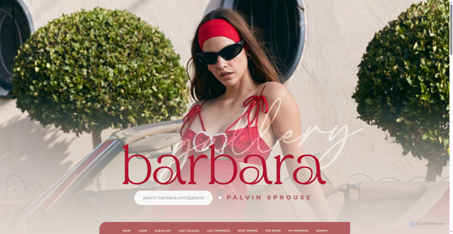 Security scan screenshot of https://palvin-barbara.com/galeria/