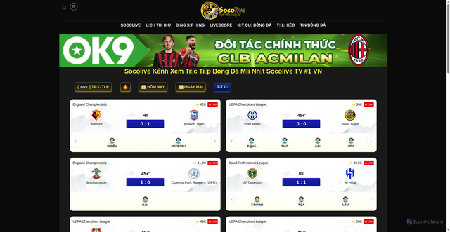 Security scan screenshot of https://www.tinyrc.com