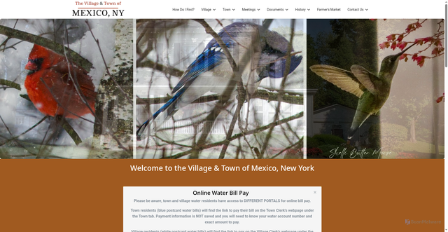 Security scan screenshot of https://villageofmexico.gov/