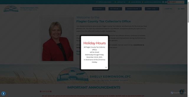 Security scan screenshot of https://www.flaglertax.gov/