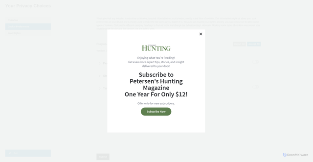 Security scan screenshot of https://www.petersenshunting.com/editorial/science-behind-aging-wild-game/329306