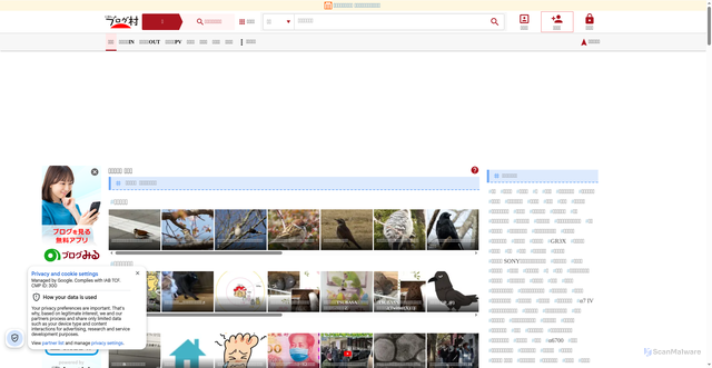 Security scan screenshot of https://birds.blogmura.com