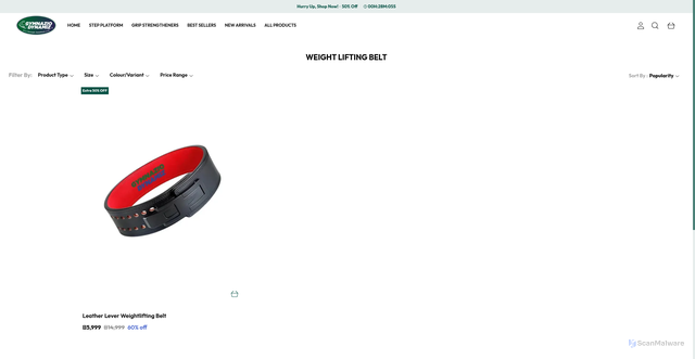Security scan screenshot of https://gymnaziodynamiz.com/collection/h_JdpJLG