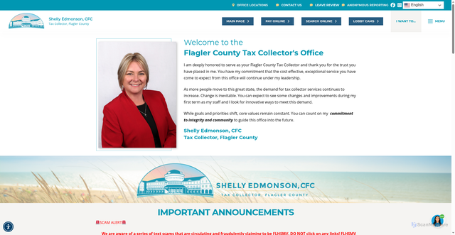 Security scan screenshot of https://www.flaglertax.gov/