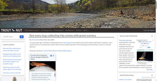 Security scan screenshot of https://troutnut.com