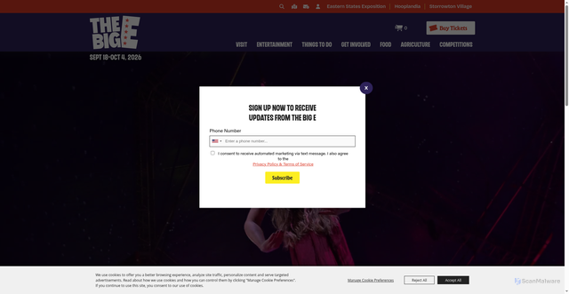 Security scan screenshot of https://www.thebige.com/