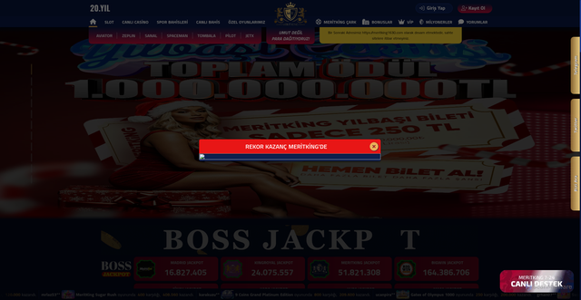 Security scan screenshot of https://mrritking1695.com/affiliate