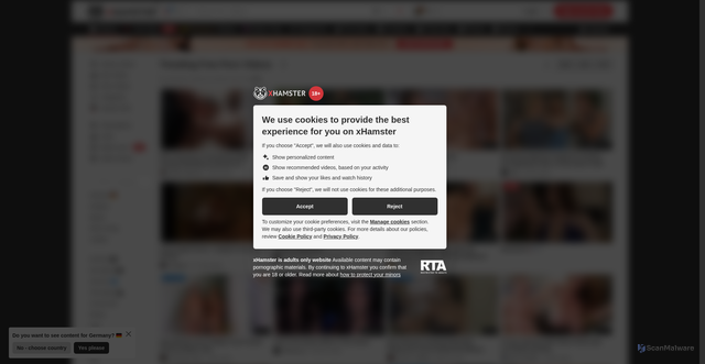 Security scan screenshot of amp.xhamster2.com