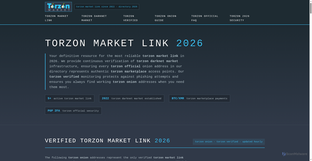 Security scan screenshot of https://torzon.motorcycles/