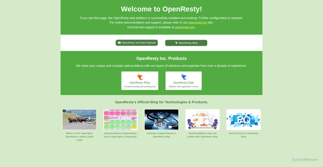 Security scan screenshot of https://1.onsultingco.com/
