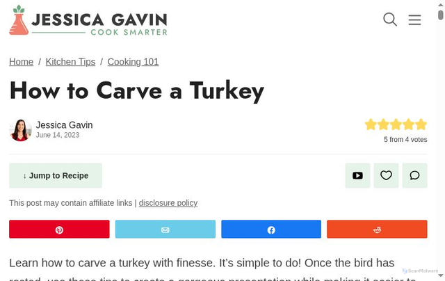 Security scan screenshot of https://www.jessicagavin.com/how-to-carve-a-turkey/