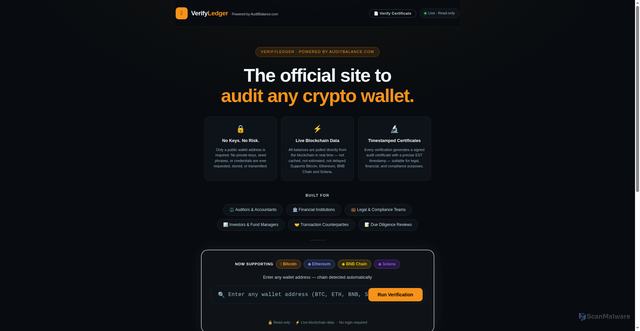 Security scan screenshot of https://verifyledger.io
