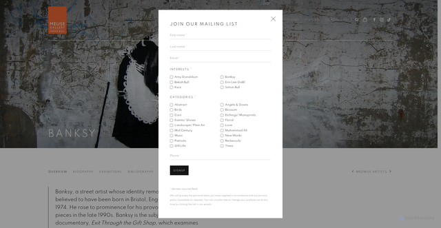 Security scan screenshot of https://www.meusegallery.com/artists/34-banksy/overview/