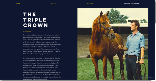 Security scan screenshot of https://www.champsofthetrack.com/triplecrown