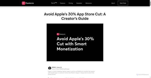 Security scan screenshot of https://passion.io/blog/avoid-apple-30-app-store-cut-a-creators-guide