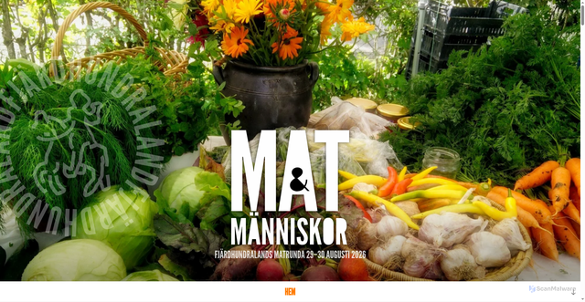Security scan screenshot of https://matomanniskor.se