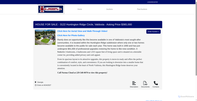 Security scan screenshot of https://professionalauctioneer.com