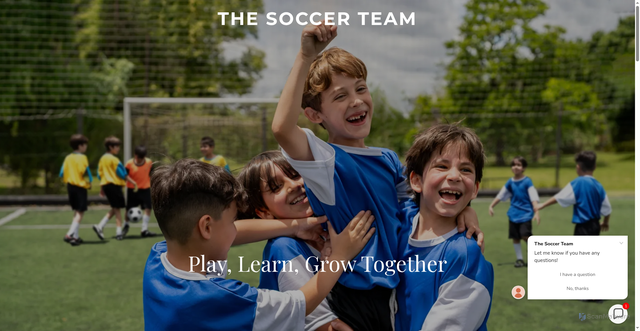 Security scan screenshot of https://thesoccerteam.com/