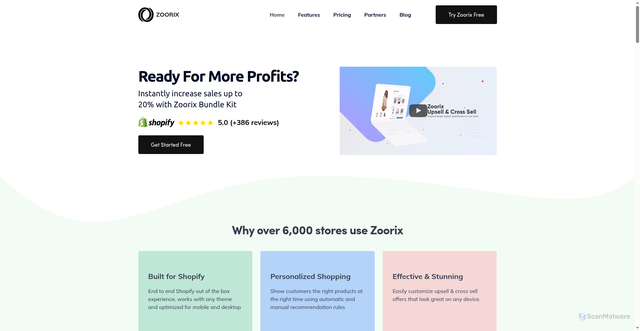 Security scan screenshot of https://zoorix.com