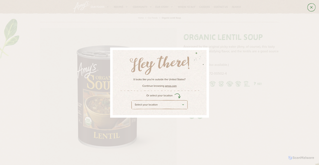 Security scan screenshot of https://www.amys.com/our-foods/organic-lentil-soup