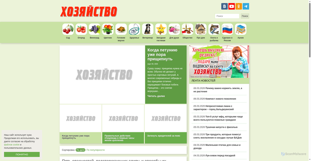 Security scan screenshot of https://hozvo.ru