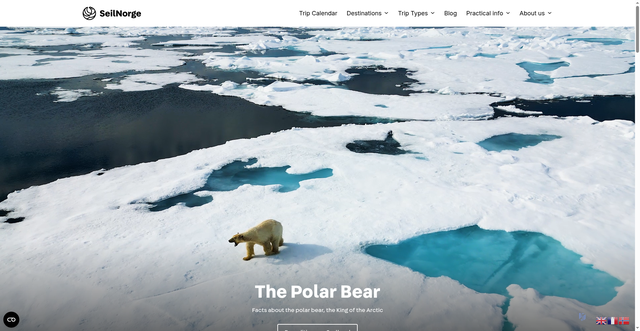 Security scan screenshot of https://seilnorge.no/polarbear-facts/