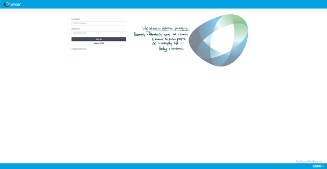 Security scan screenshot of https://amcor-tst.esko-saas.com