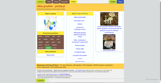 Security scan screenshot of https://www.grzyby.pl