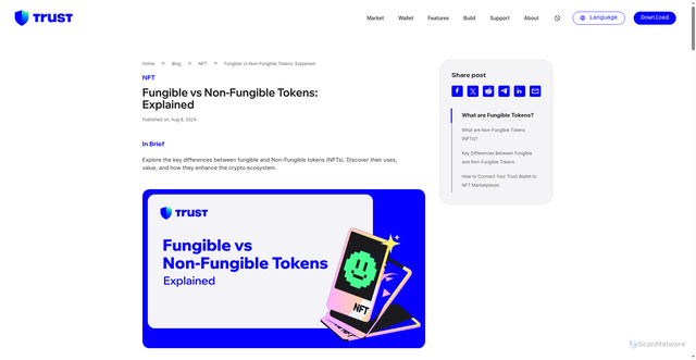 Security scan screenshot of https://trustwallet.com/blog/nft/fungible-vs-non-fungible-tokens-explained
