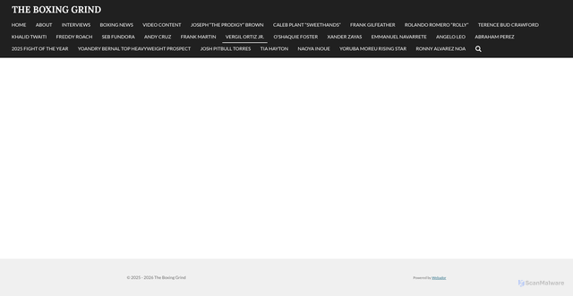 Security scan screenshot of https://www.theboxinggrind.com/vergil-ortiz-jr