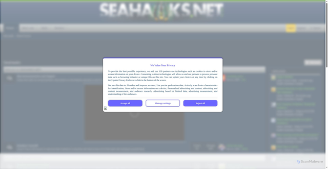 Security scan screenshot of https://seahawks.net