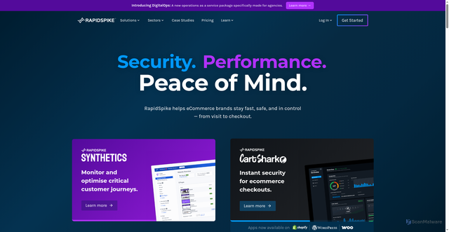Security scan screenshot of https://rapidspike.com