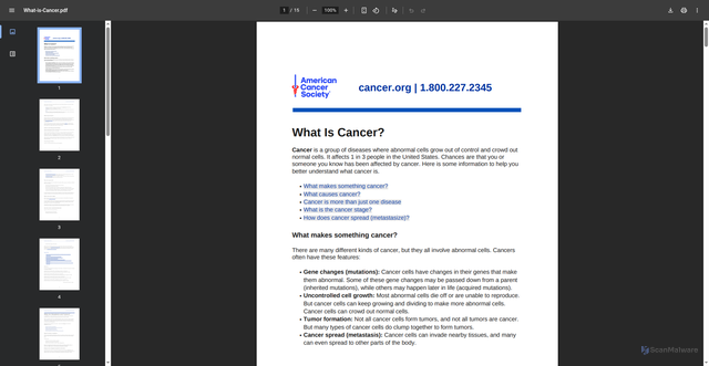 Security scan screenshot of https://flintcancer.publichealth.msu.edu/wp-content/uploads/2025/11/What-is-Cancer.pdf