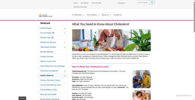 Security scan screenshot of https://www.carolinacompletehealth.com/members/medicaid/health-wellness/what-you-need-to-know-about-cholesterol.html
