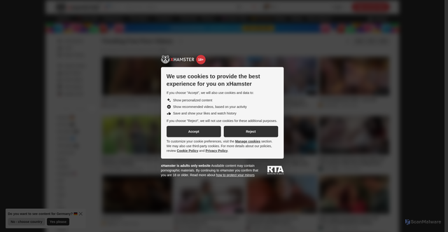 Security scan screenshot of https://auth.xhamster.desi