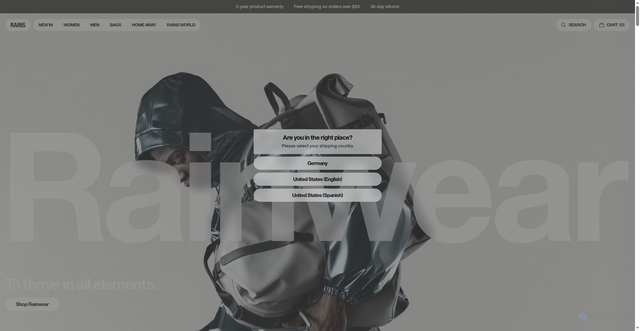 Security scan screenshot of https://us.rains.com