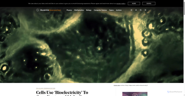 Security scan screenshot of https://quantamagazine.org