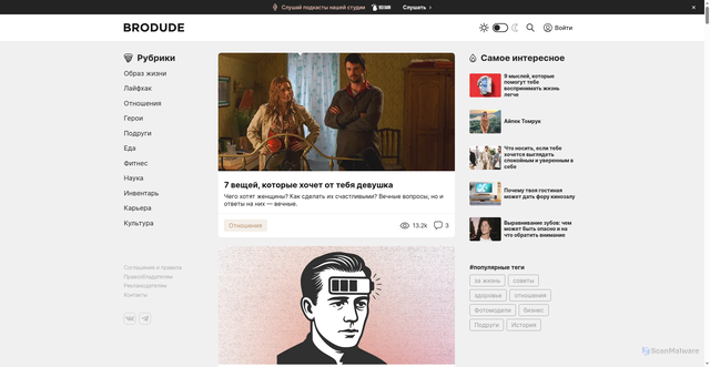 Security scan screenshot of https://img.brodude.ru
