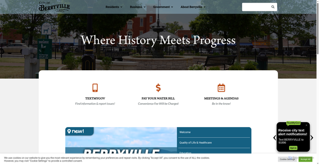Security scan screenshot of https://berryvillear.gov/