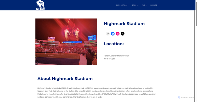 Security scan screenshot of https://bornbuffalo.com/highmark-stadium/
